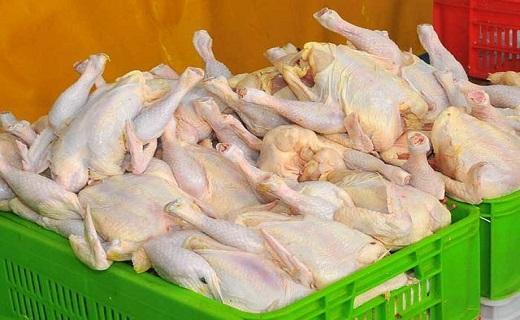 توزیع روزانه 35 تن گوشت مرغ در استان سمنان