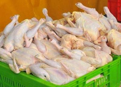 توزیع روزانه 35 تن گوشت مرغ در استان سمنان