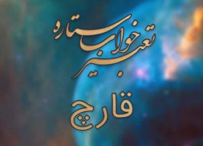 تعبیر خواب قارچ - دیدن قارچ در خواب چه تعبیری دارد؟