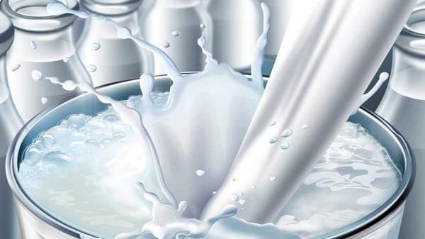 فراوری سالانه 25 هزار تن شیر در شهرستان نیر